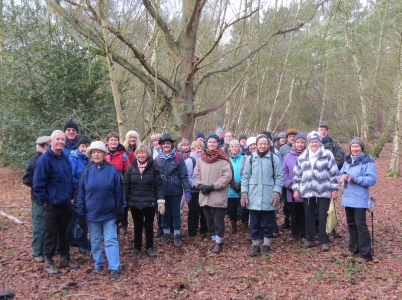 Pirbright Walk - 16th January 2013